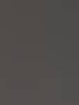 Vanessa Calypso - zdjęcie 2