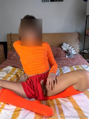 Roxi - zdjęcie 9