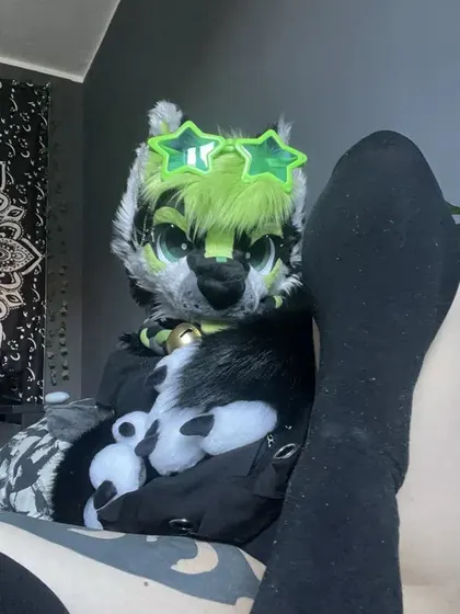 Lili - zdjęcie 1