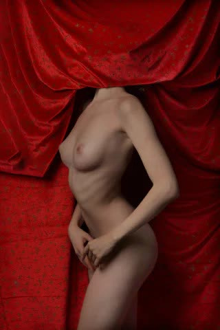 Lilka Flora - zdjęcie 8